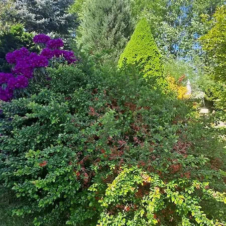 Dom W Karkonoszach Z Basenem 5 Sypialni *