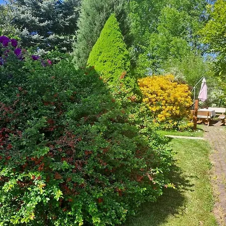 Dom W Karkonoszach Z Basenem 5 Sypialni * Kowary