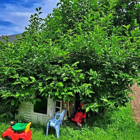 Dom W Karkonoszach Z Basenem 5 Sypialni Holiday home Kowary