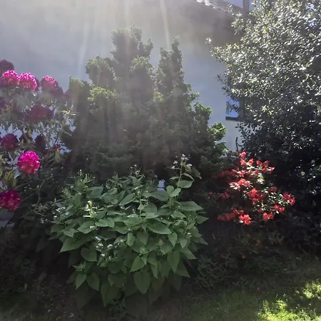 Dom W Karkonoszach Z Basenem 5 Sypialni Dom wakacyjny