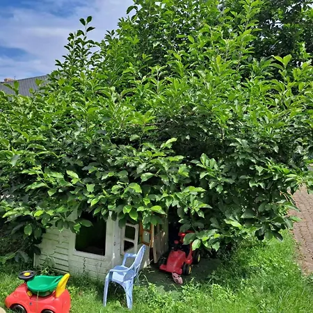 Holiday home Dom W Karkonoszach Z Basenem 5 Sypialni