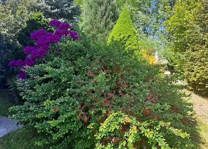 Dom W Karkonoszach Z Basenem 5 Sypialni *