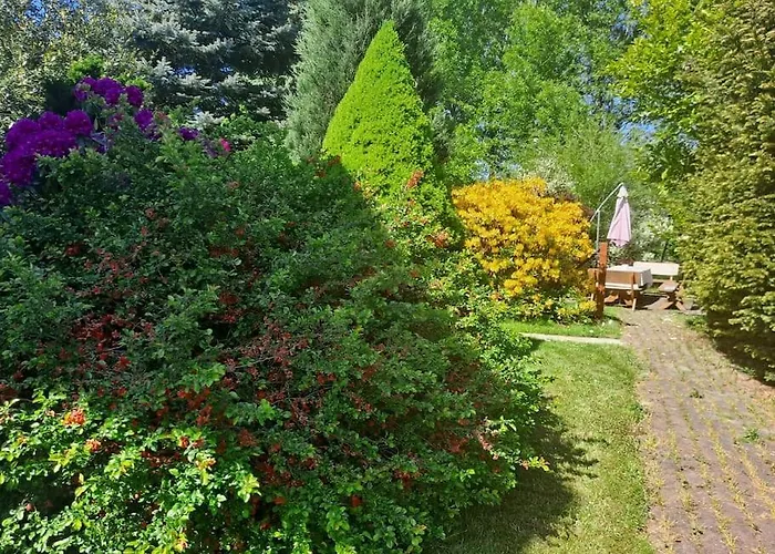 Dom W Karkonoszach Z Basenem 5 Sypialni * Kowary