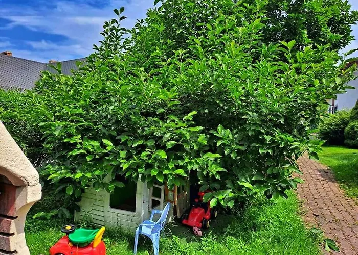 Dom W Karkonoszach Z Basenem 5 Sypialni Dom wakacyjny Kowary