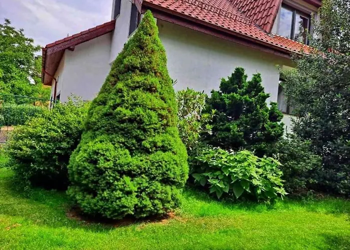 Prázdninový dům Dom W Karkonoszach Z Basenem 5 Sypialni *