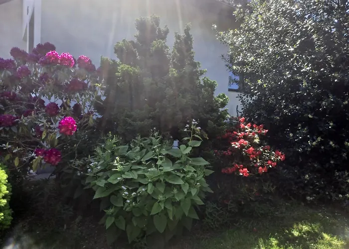 Dom W Karkonoszach Z Basenem 5 Sypialni Dom wakacyjny